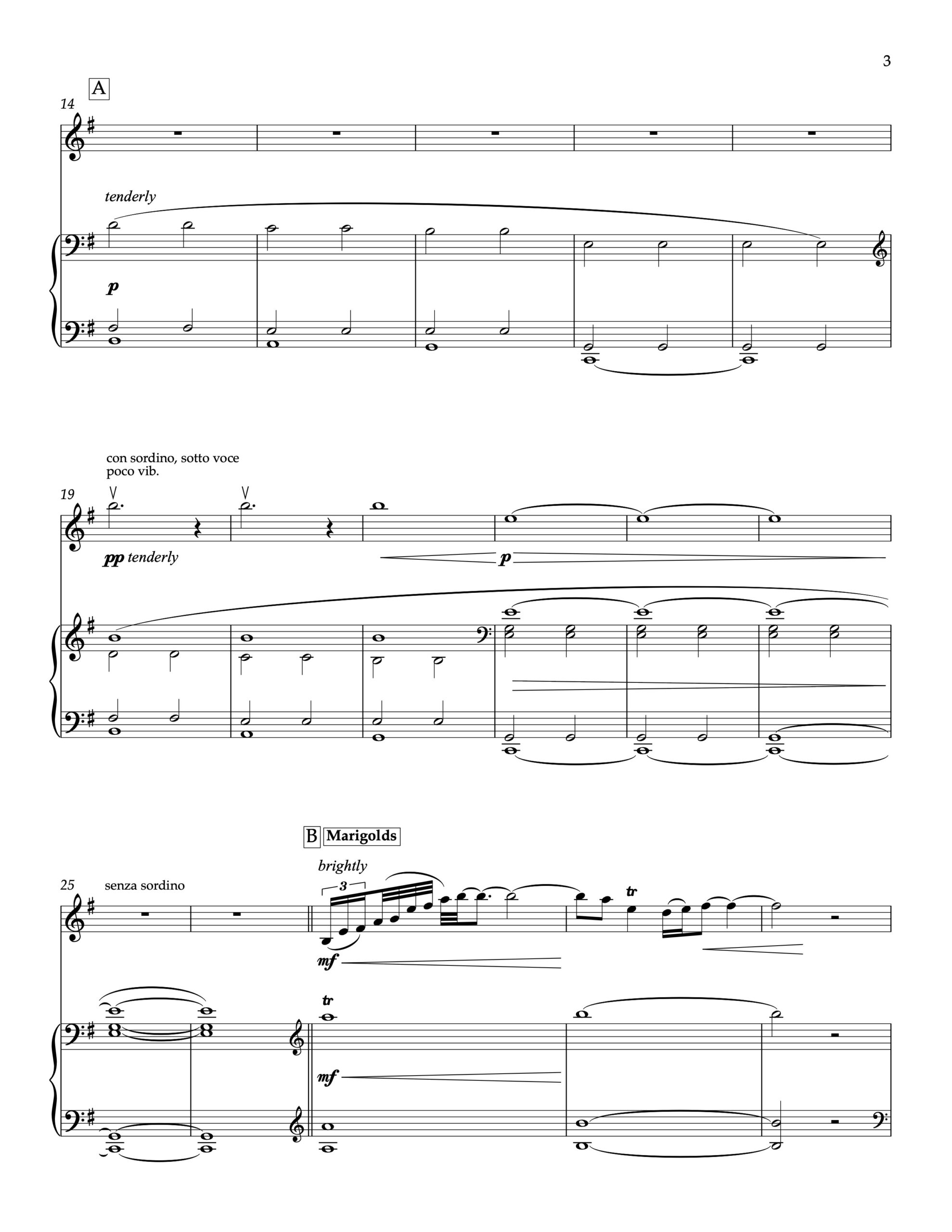 Doctor From India:  The Art of Listening:  For Violin + Piano - PDF Score + Parts - Image 2